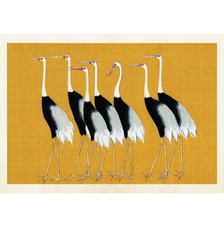 Poster vintage fåglar, 70x50 cm Sköna Ting