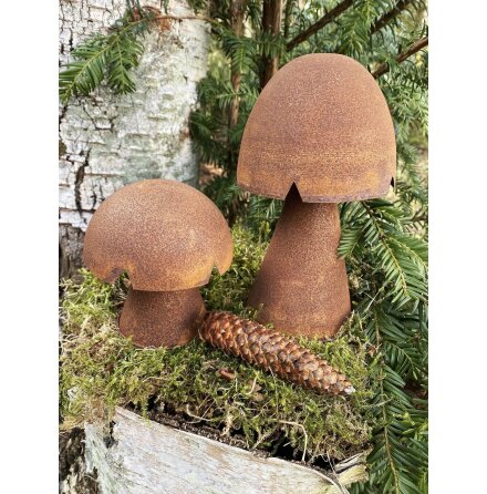 Rostig svamp skog Lind decoration i olika stolekar